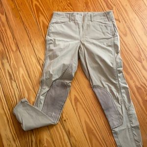 Ariat Show breeches